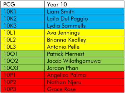 Year 10 House Representatives Year 10 House Representatives