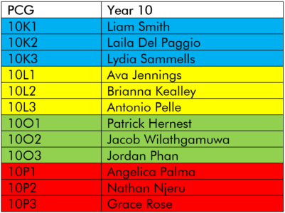 Year 10 House Representatives