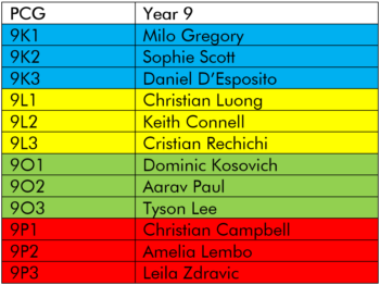 Year 9 House Representatives